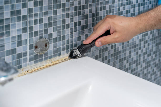 Trusted Boulevard Park, WA Mold Removal Experts