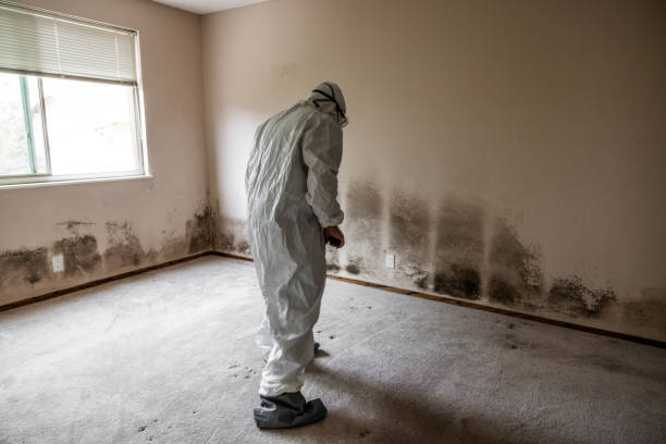 Water Damage Restoration in Boulevard Park, WA